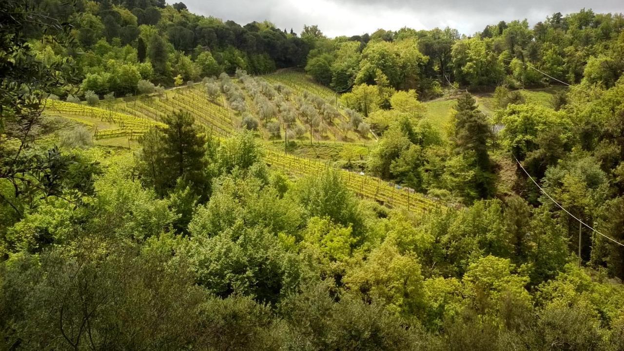 Little B&B Della Pieve Figline Valdarno Eksteriør billede